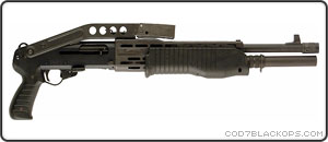 spas-1.jpg